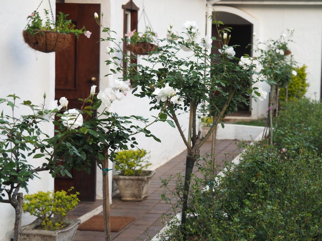 Caladdi Bed And Breakfast Durban Ngoại thất bức ảnh